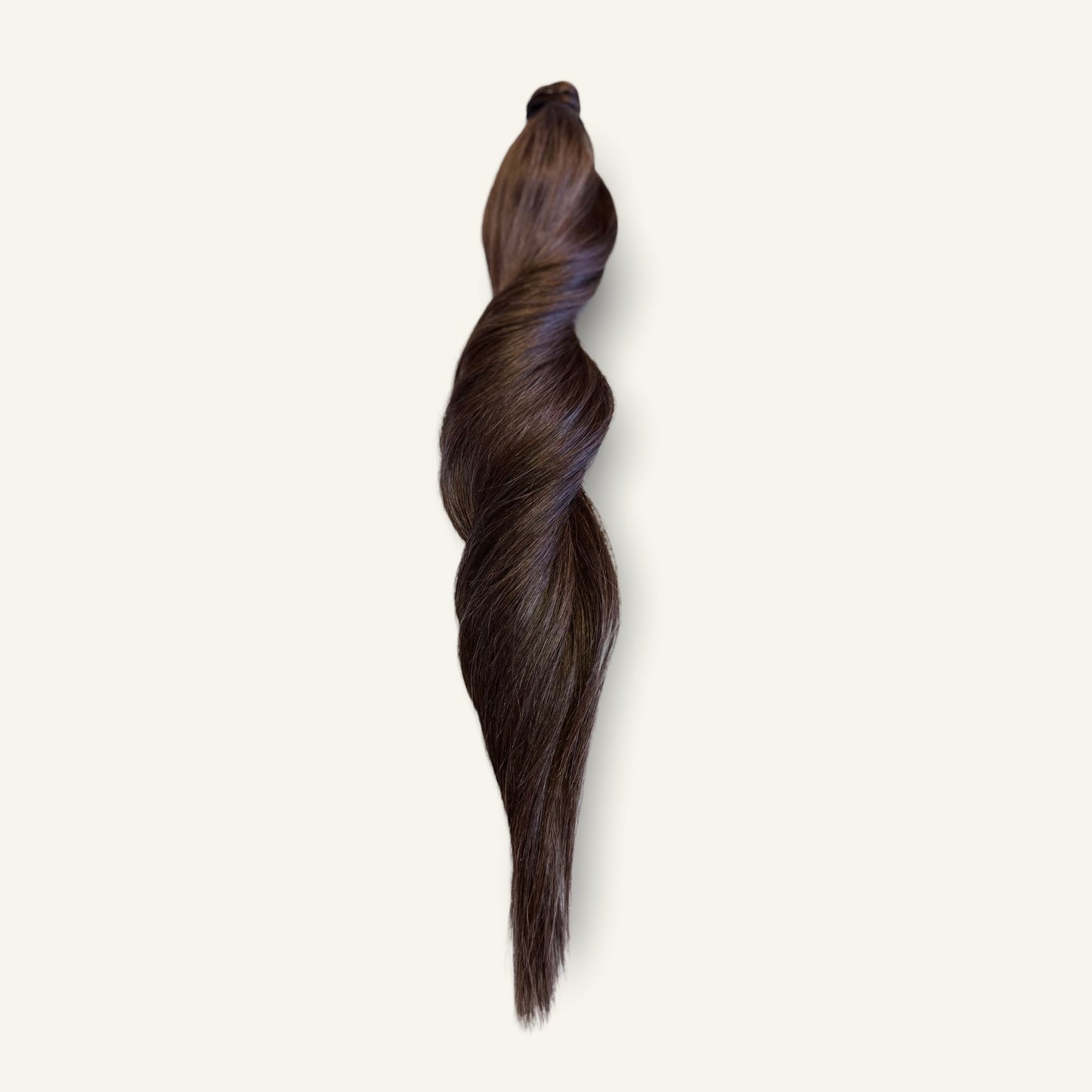 Ponytail
